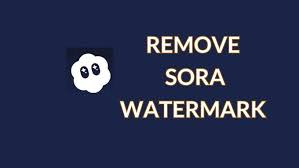 remove sora watermark